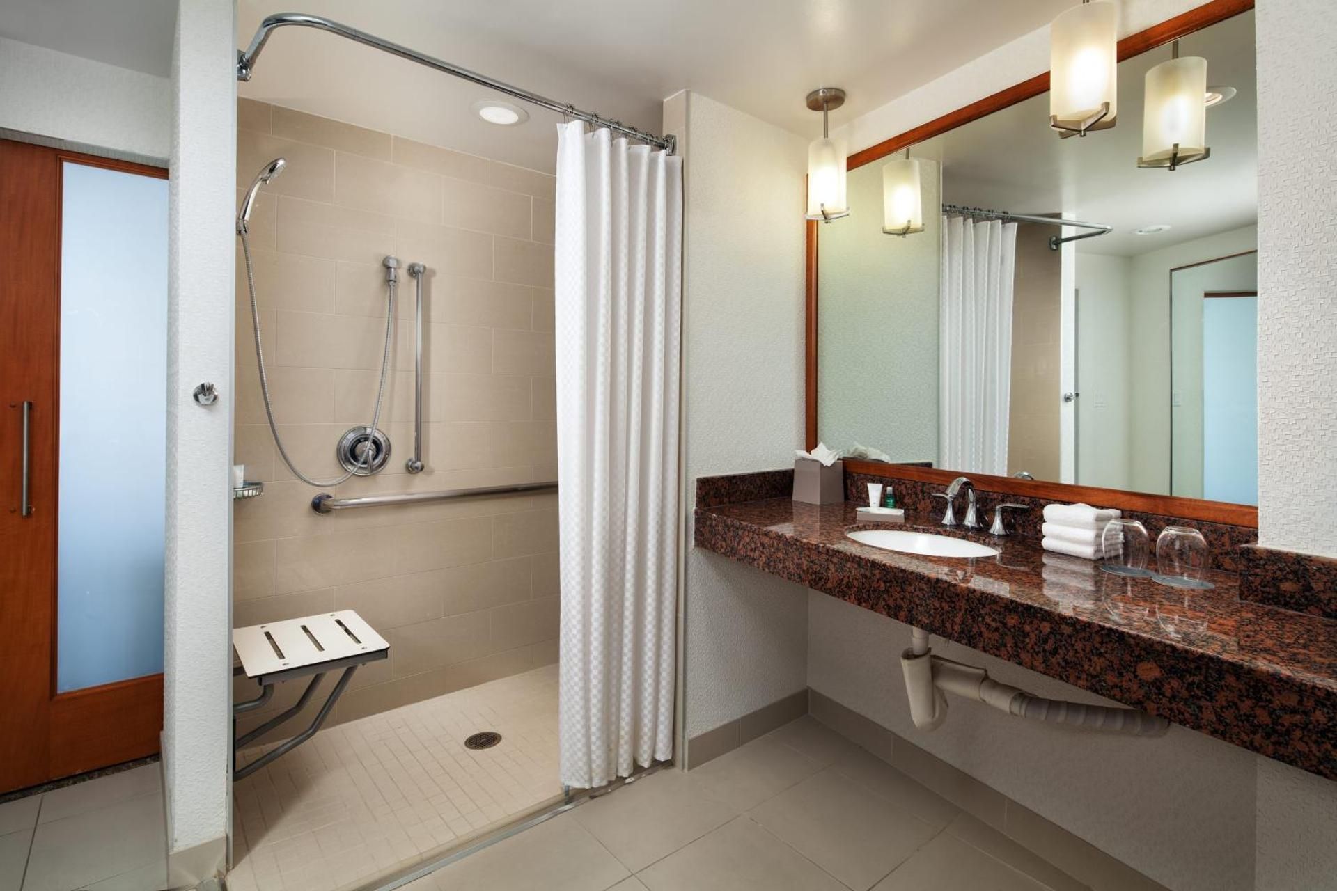 Accessible -Rollin Shower, Accessible Guest room, 1 Queen (Mobility and Hearing Accessible w/Transfer Shower)