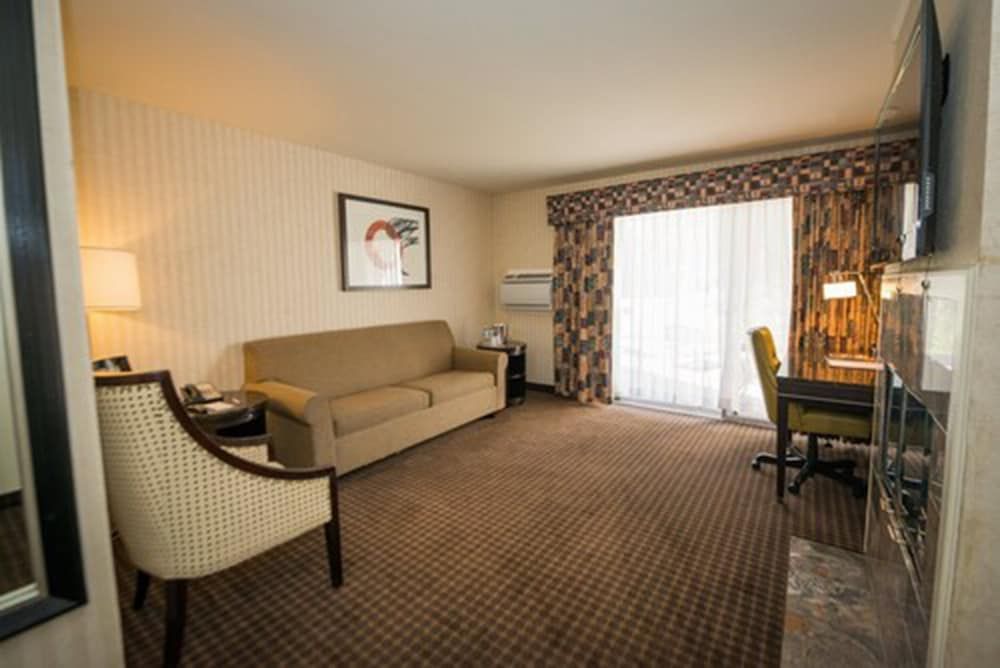 Suite, 1 King Bed with Sofa bed