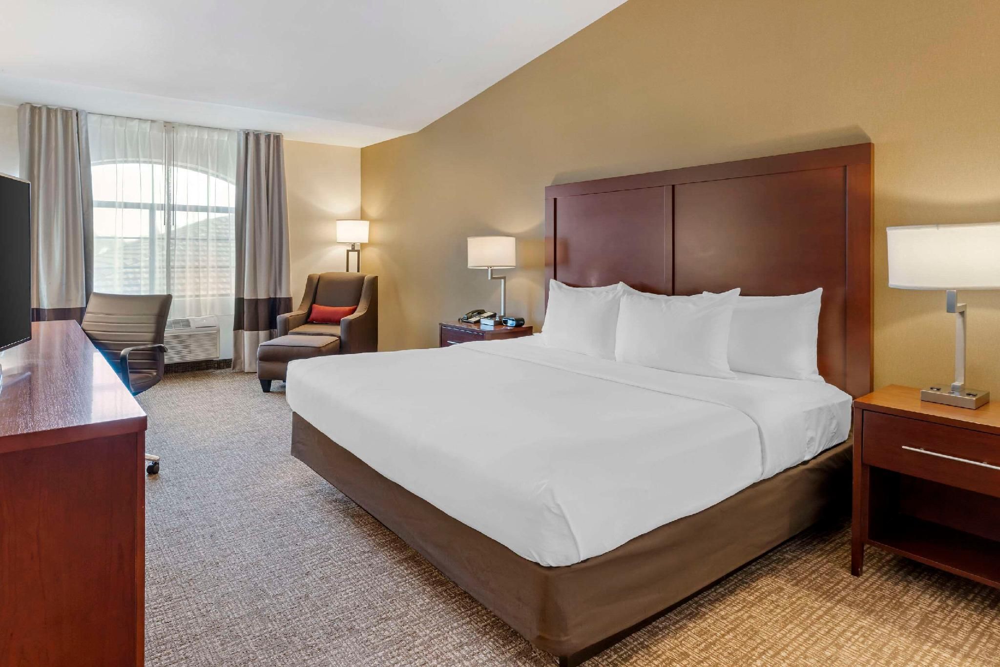 1 King Bed, Nonsmoking, Accessible