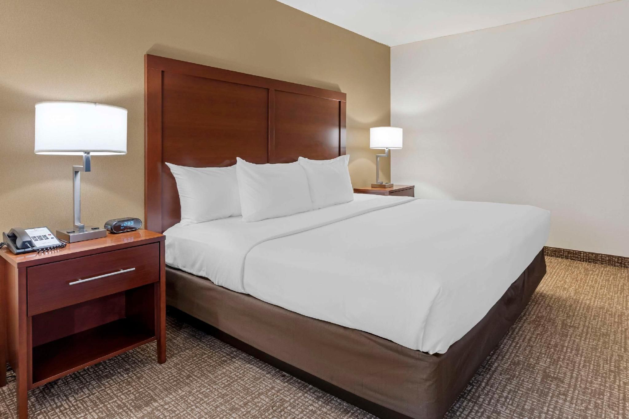 1 King Bed, Suite, Nonsmoking