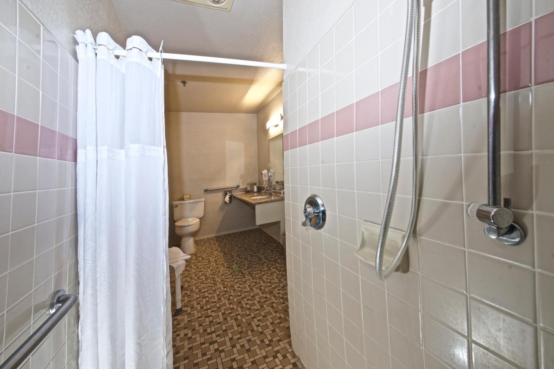 1 Queen Bed, Nonsmoking, Accessible