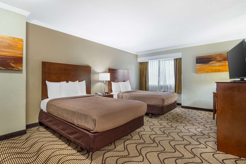 Standard Room, 2 Double Beds, Non Smoking, Refrigerator & Microwave (Pet Friendly)
