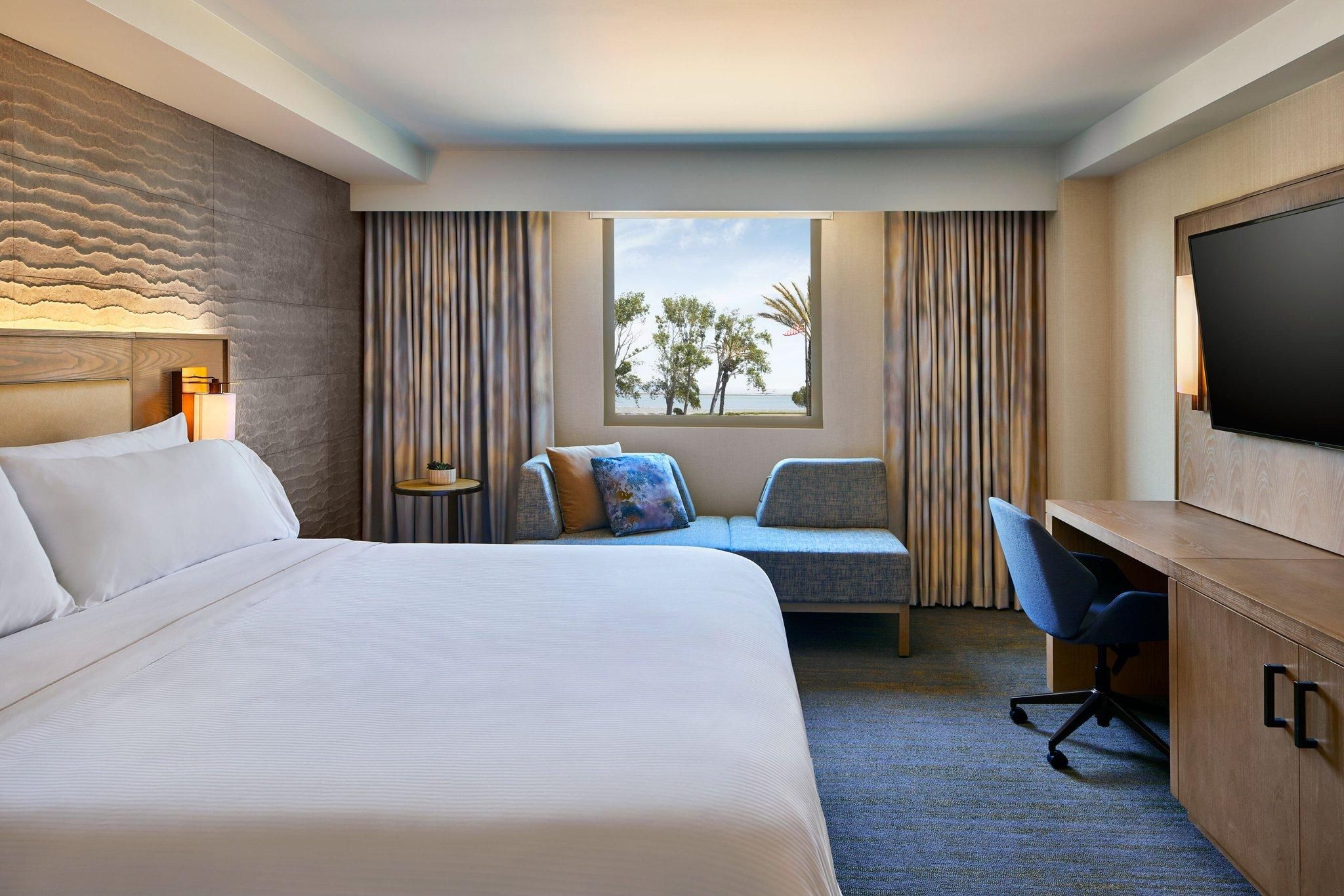 Executive Suite, 1 King, Sofa bed