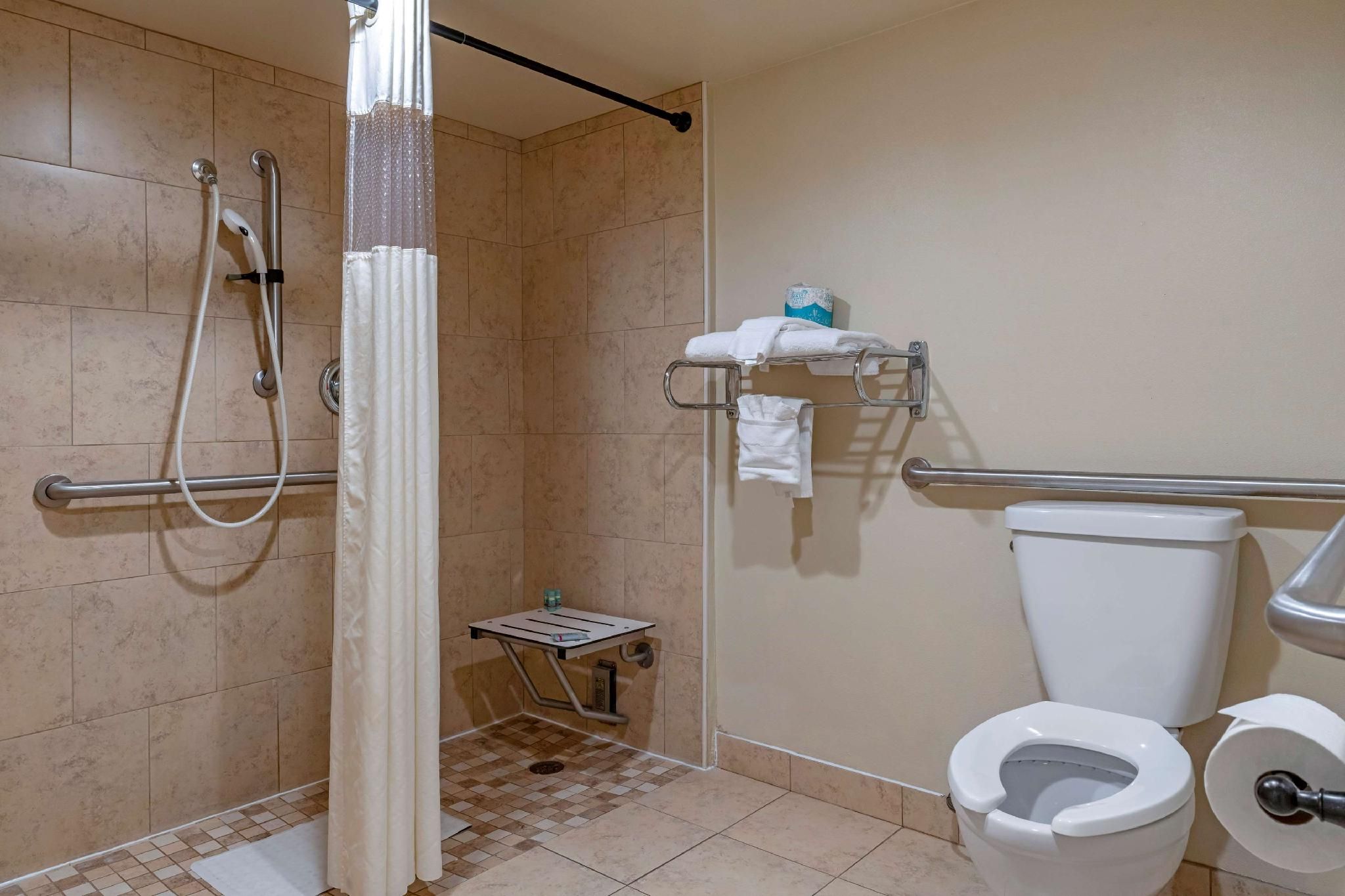 Accessibility - 1 Queen, Roll-in Shower, Nonsmoking