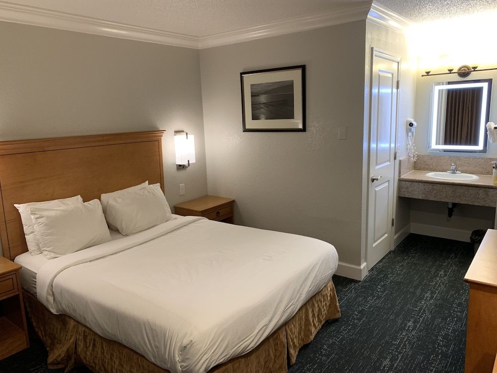 Stargazer Hotel Room, 1 Queen Bed 3