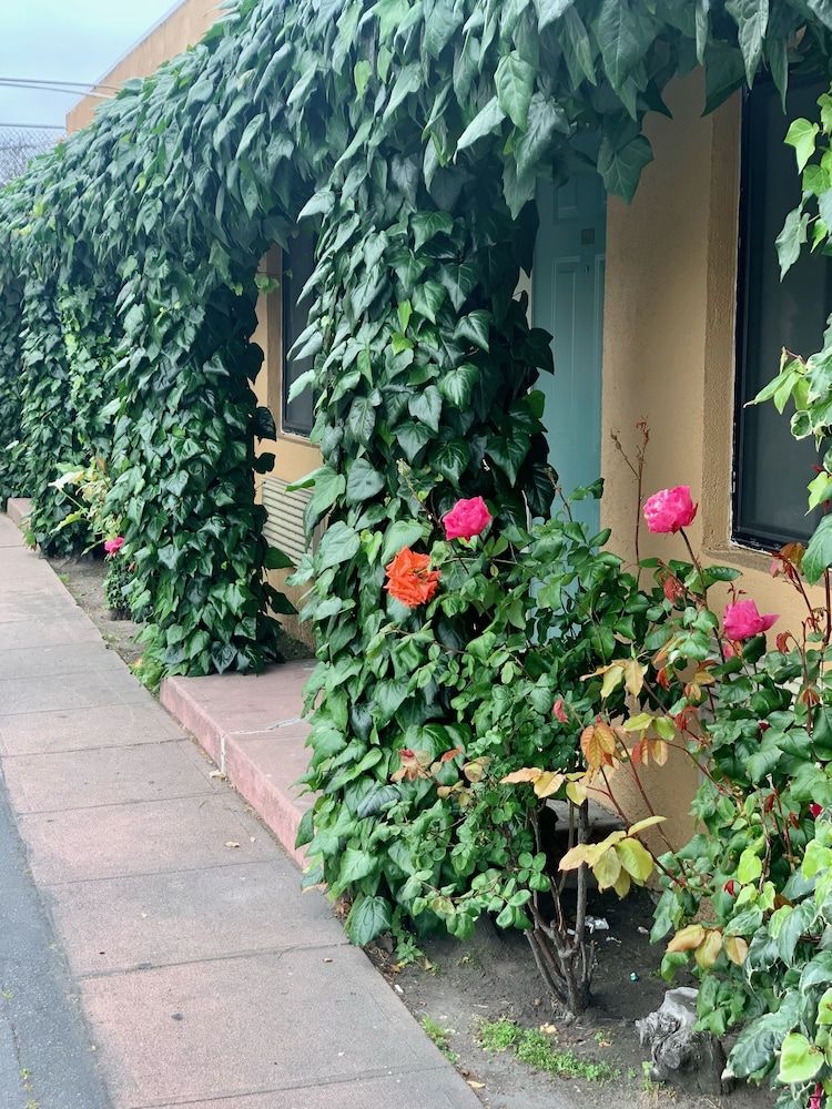 undefined Monterey Oceanside Inn 6