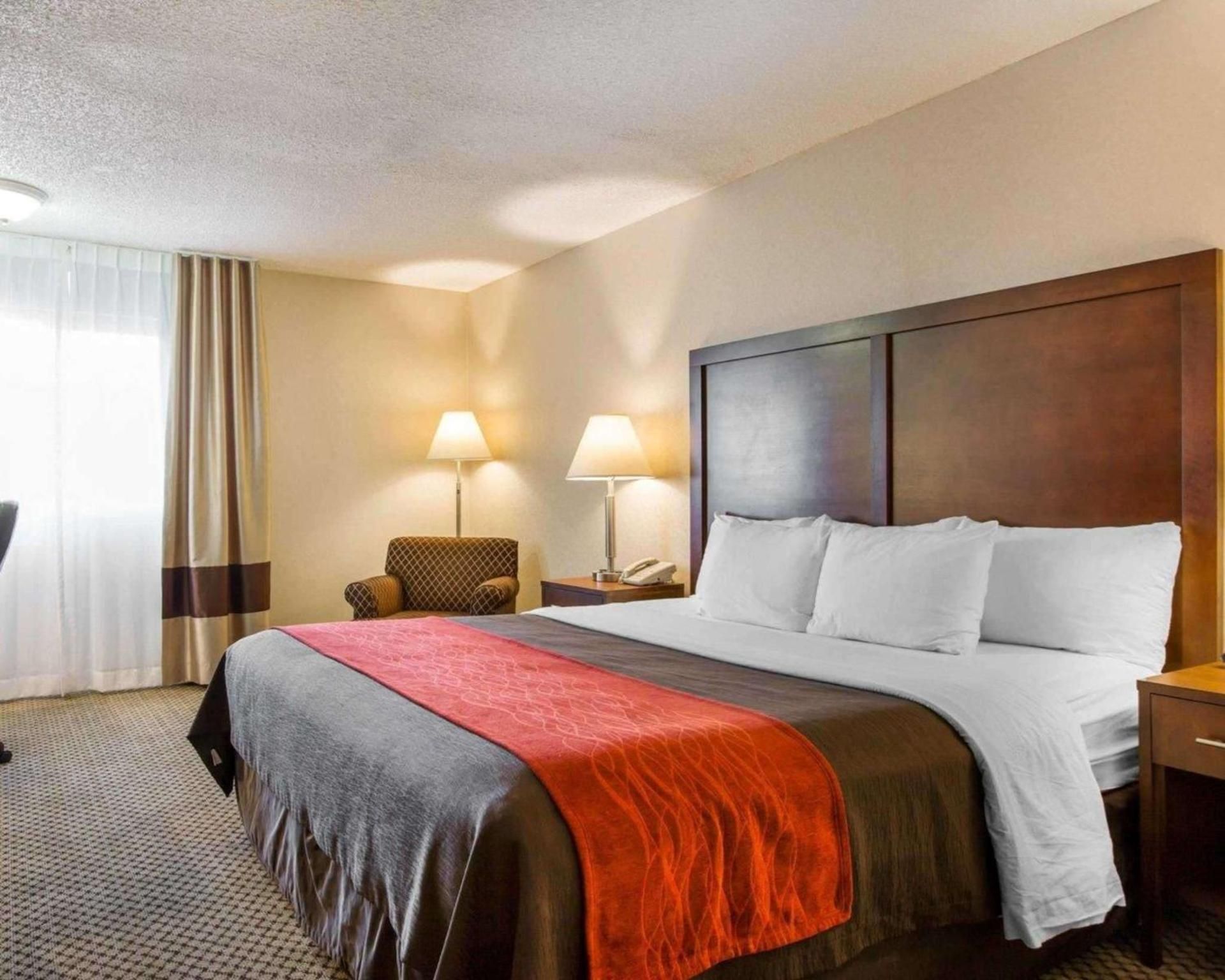 King Room - Non Smoking/Pet Friendly