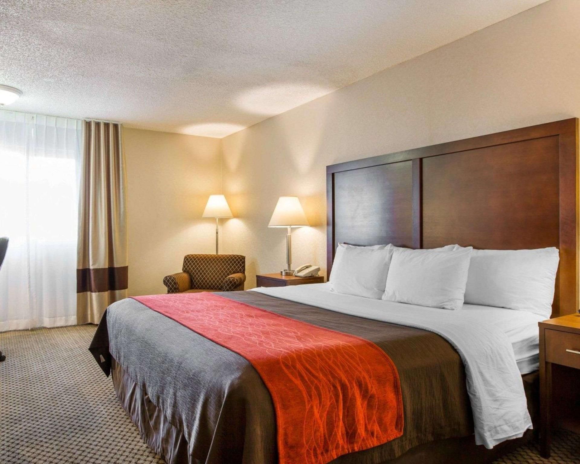 1 King Bed, Non-smoking, Accessible