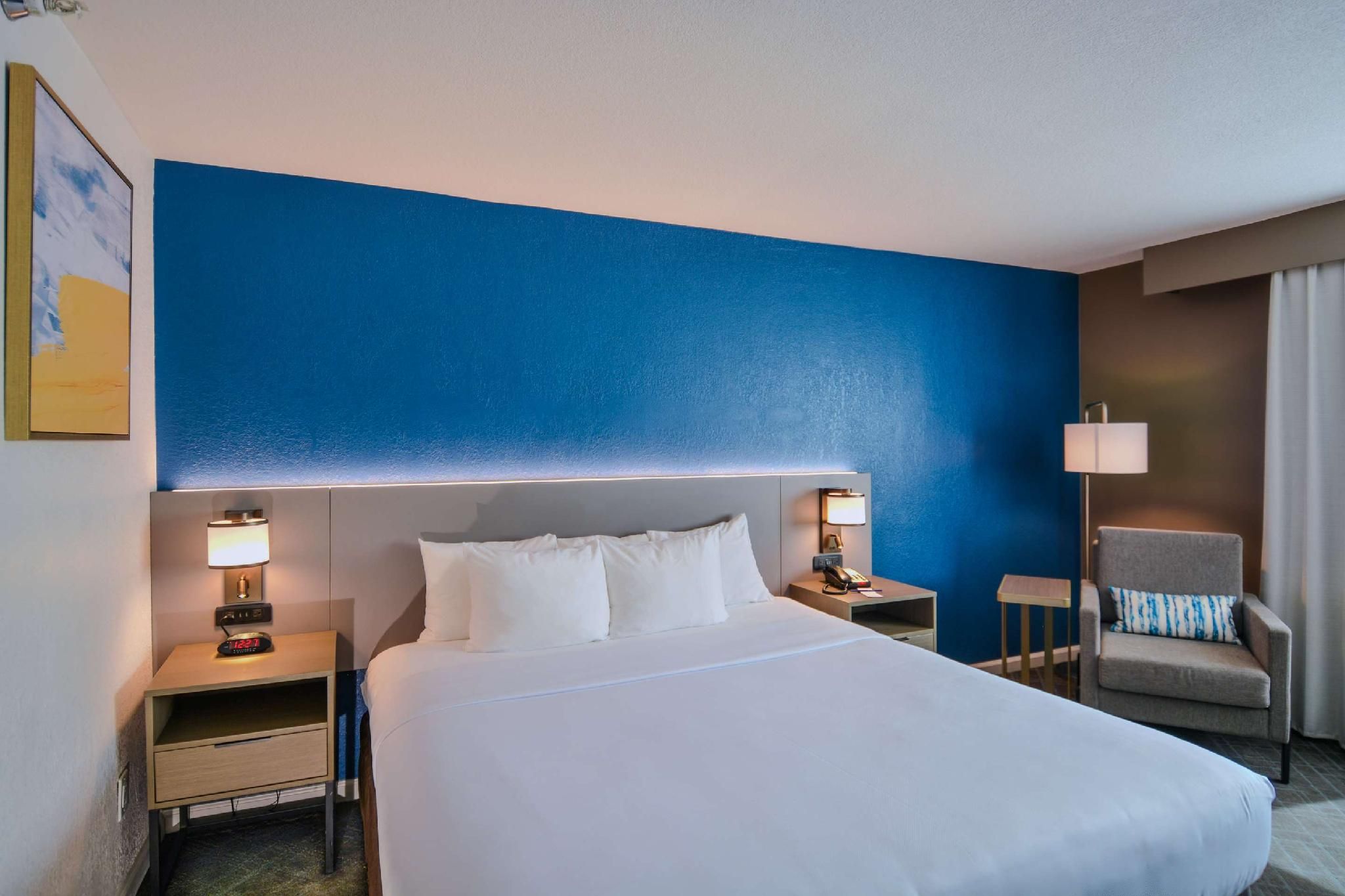 1 King Bed, Nonsmoking, Accessible