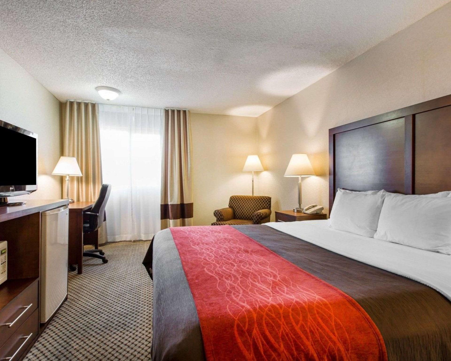1 King Bed, Non-smoking, Accessible