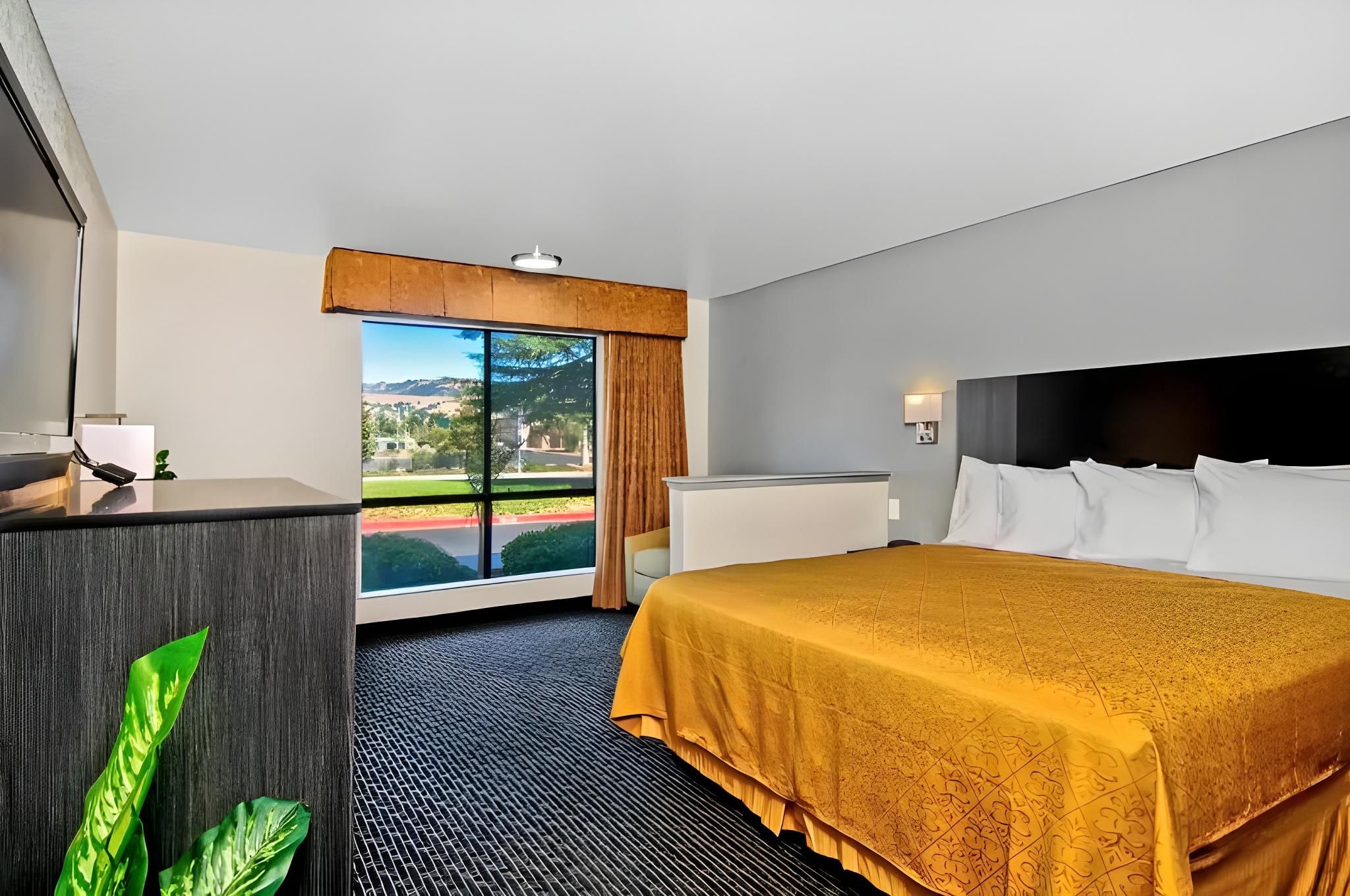 1 King Bed, Suite, Nonsmoking