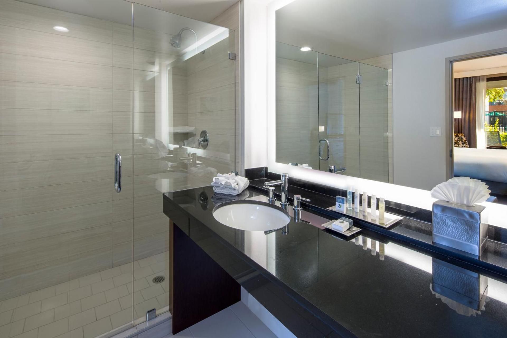 One-Bedroom King Suite