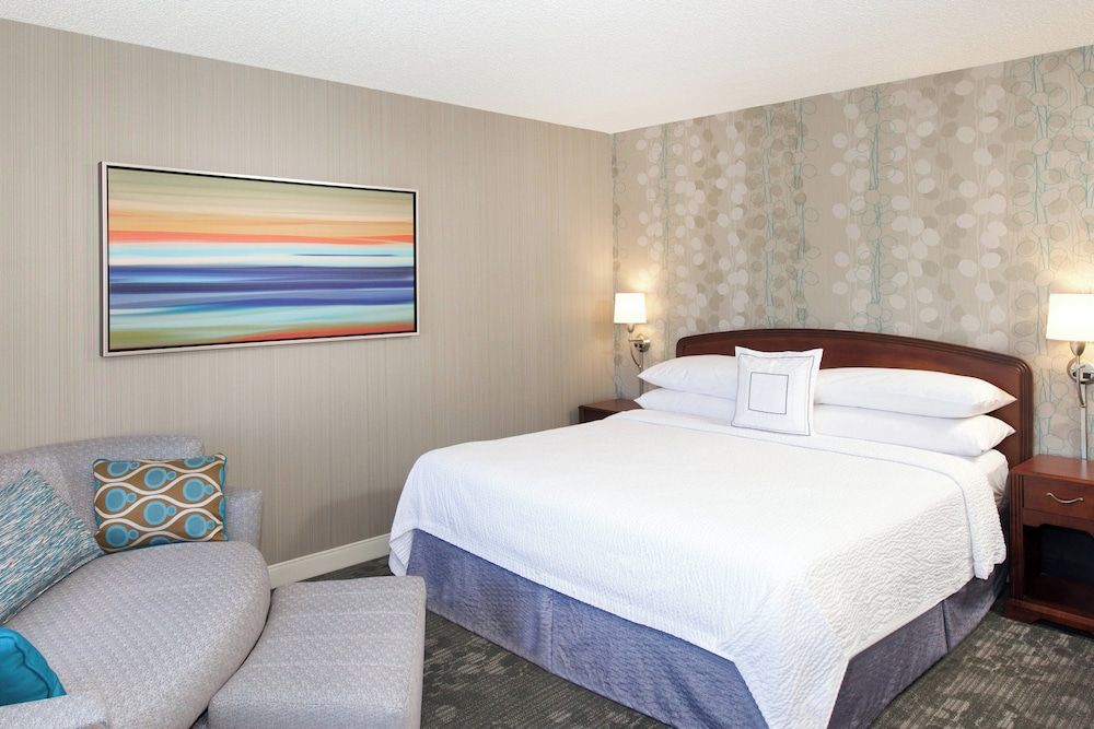Room, 1 King Bed with Sofa bed (Hearing Accessible)