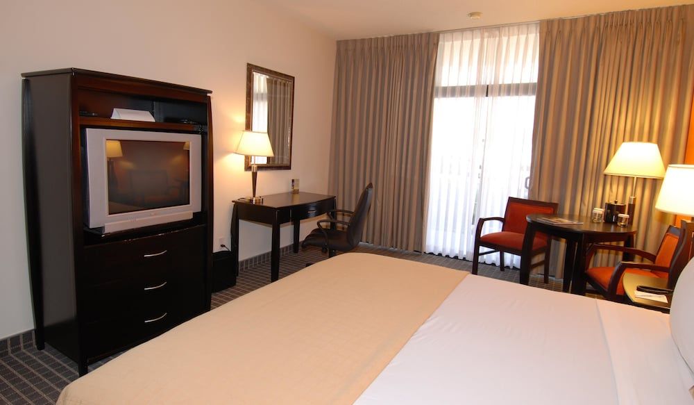 Oakland Airport Executive Hotel Standard Room, 1 King Bed, Non Smoking 3