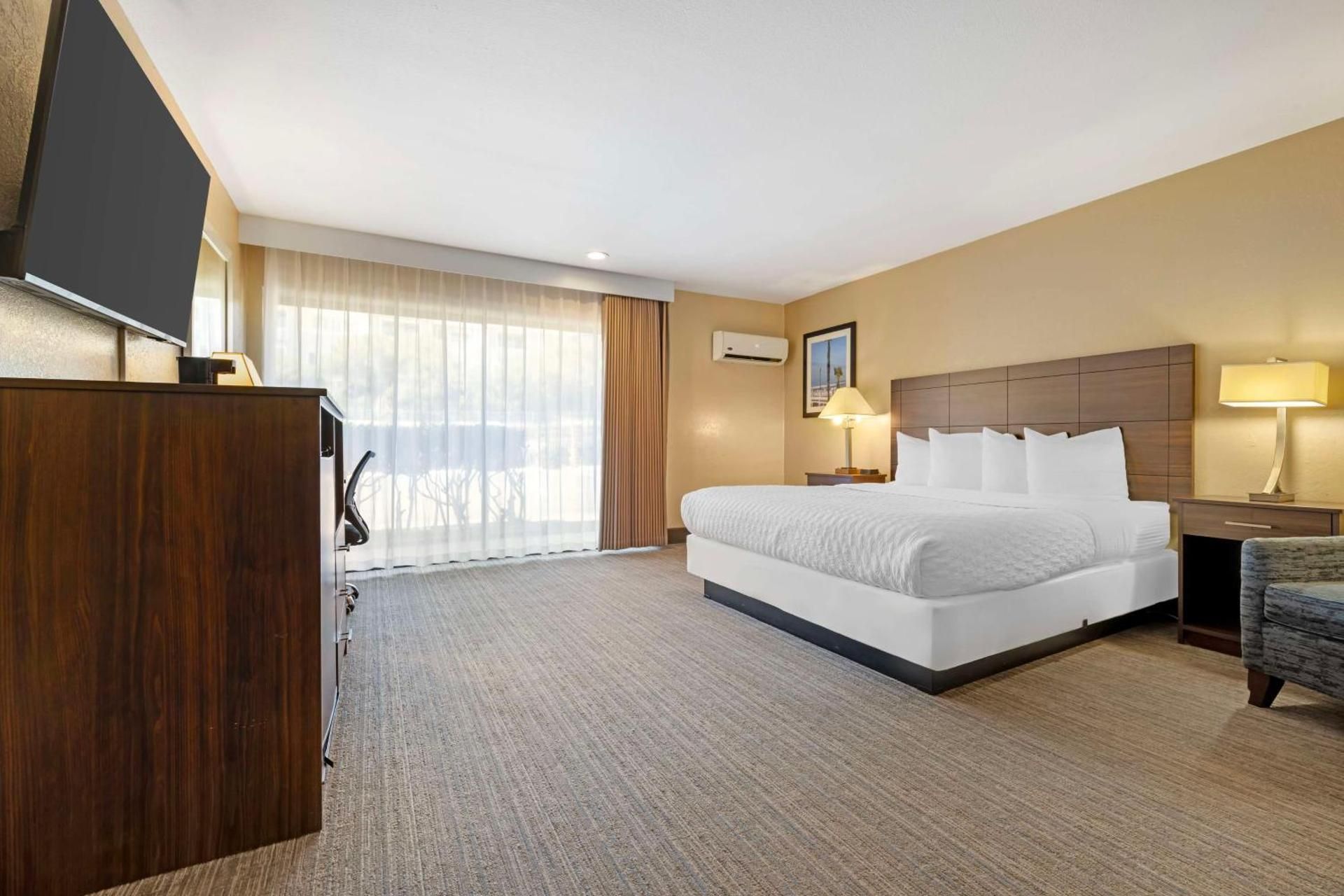 Accessibility - 1 King, Bathtub, Nonsmoking