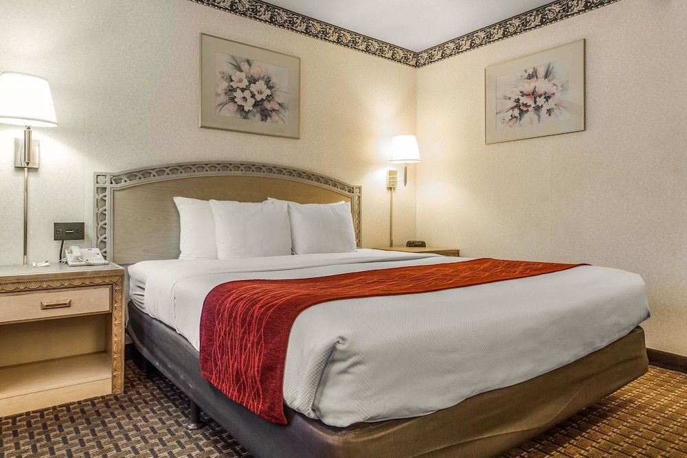 Standard Room, 1 King Bed