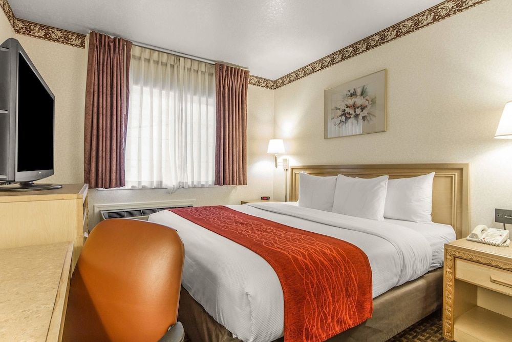 Room, 1 Queen Bed, Non Smoking