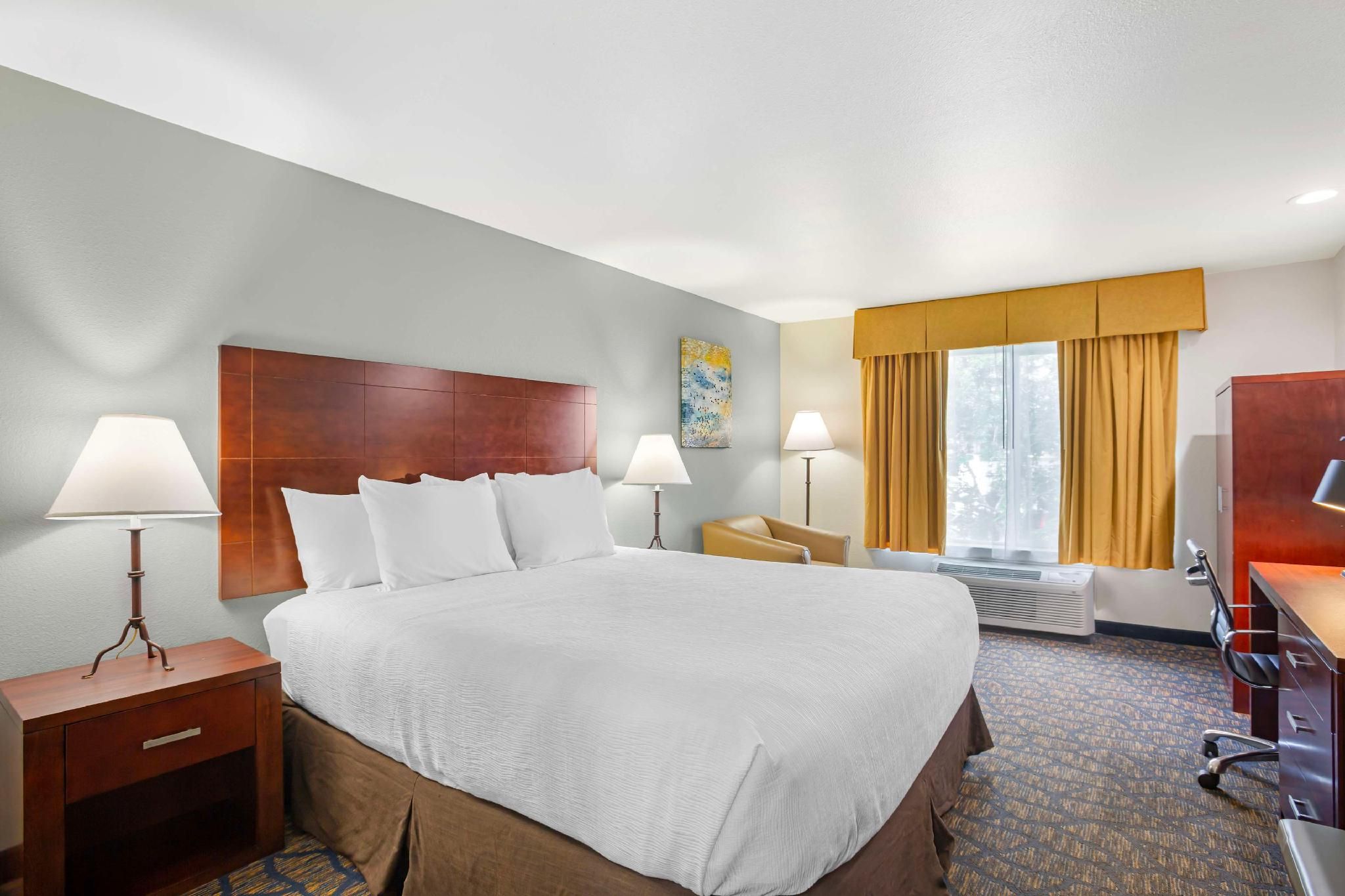 Accessibility - 1 King, Roll-in Shower, Nonsmoking