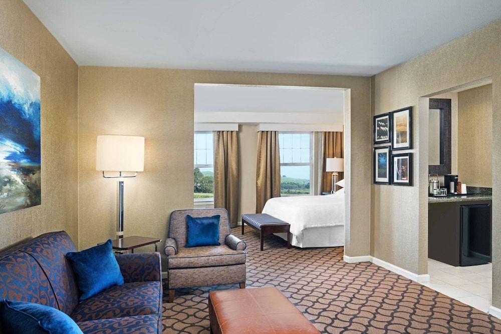 Suite, 1 King Bed with Sofa bed, Non Smoking (Mobility Accessible, Roll-In Shower)