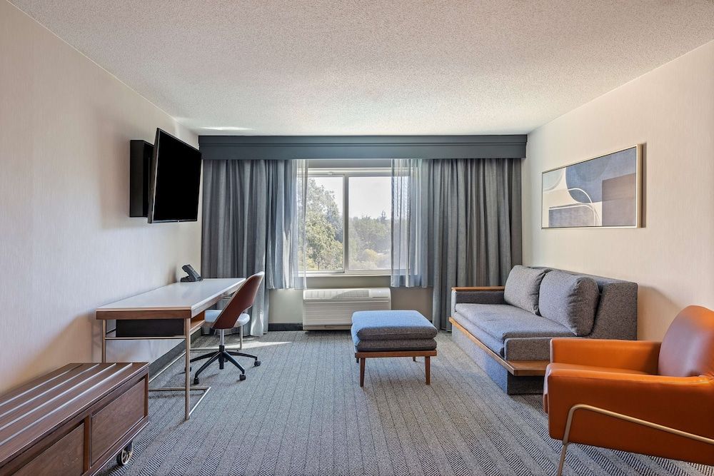 Suite, 1 King Bed with Sofa bed (One Bedroom)