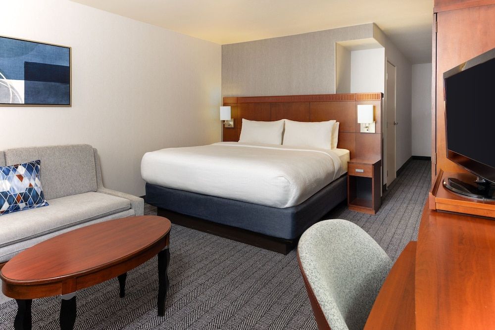 Room, 1 King Bed with Sofa bed, Non Smoking (Mobility/Hearing Access, Roll-in Shwr)