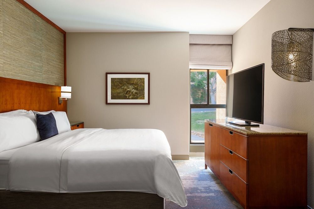 Executive Suite, 1 King Bed with Sofa bed