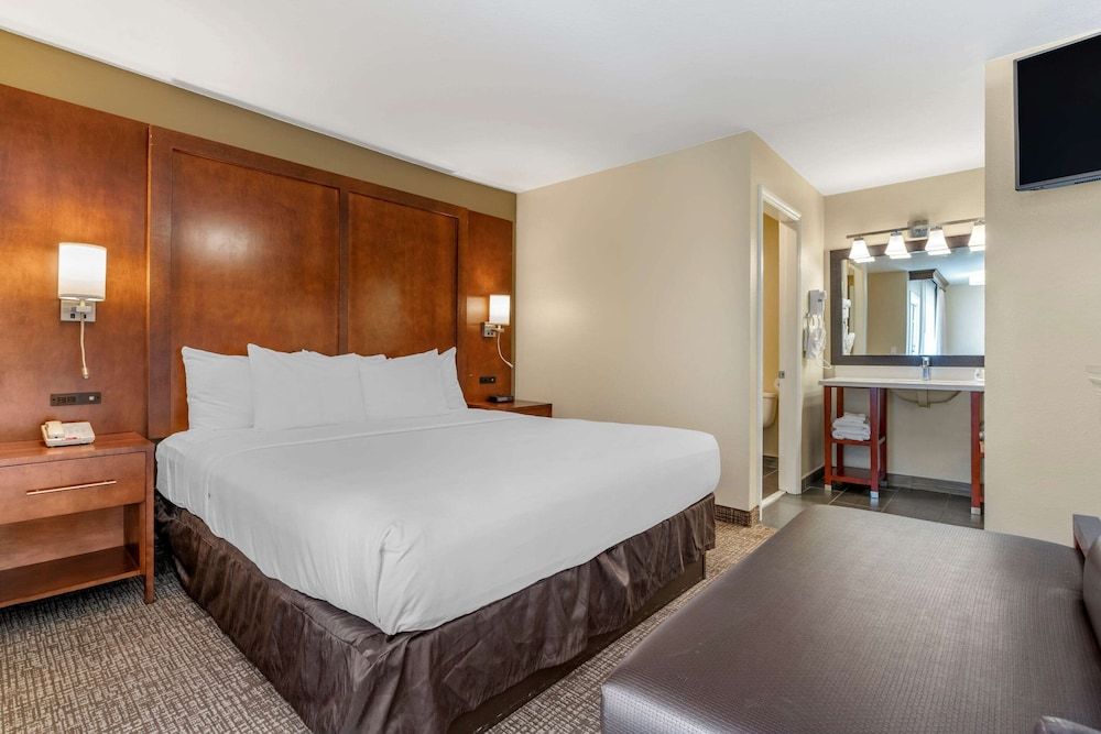 Room, 1 King Bed, Non Smoking (Upgrade)