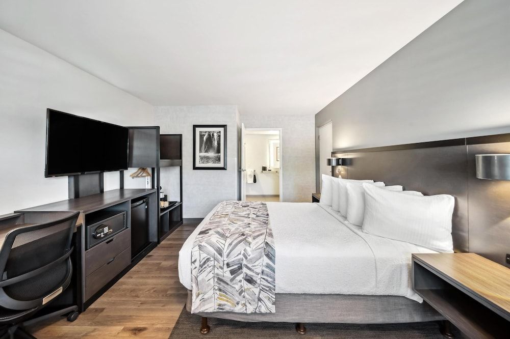 Standard Room, 1 Queen Bed, Accessible, Non Smoking (Pet Friendly)