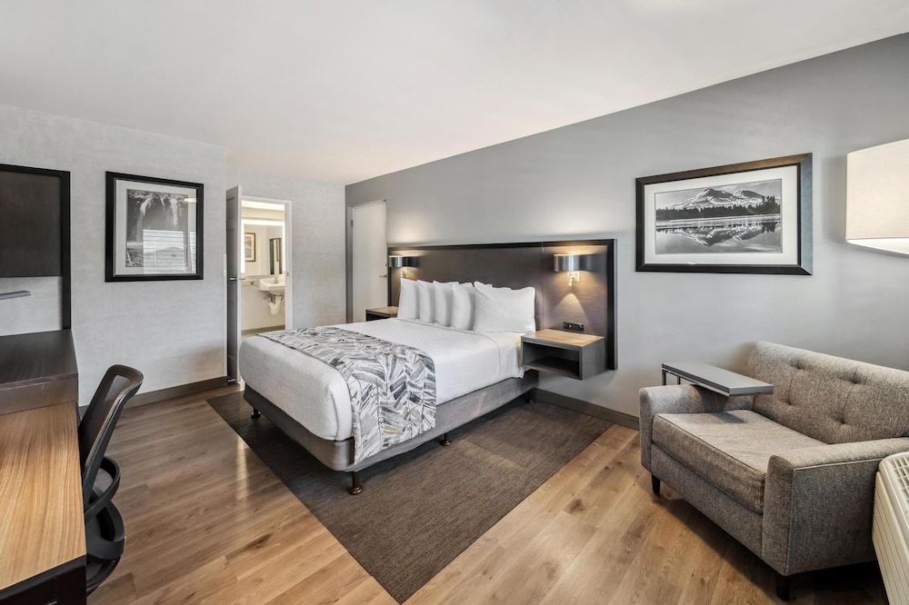 Standard Room, 1 Queen Bed, Accessible, Non Smoking (Pet Friendly)