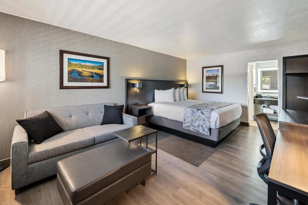 Executive Room, 1 King Bed, Non Smoking, Poolside (with Sofabed)