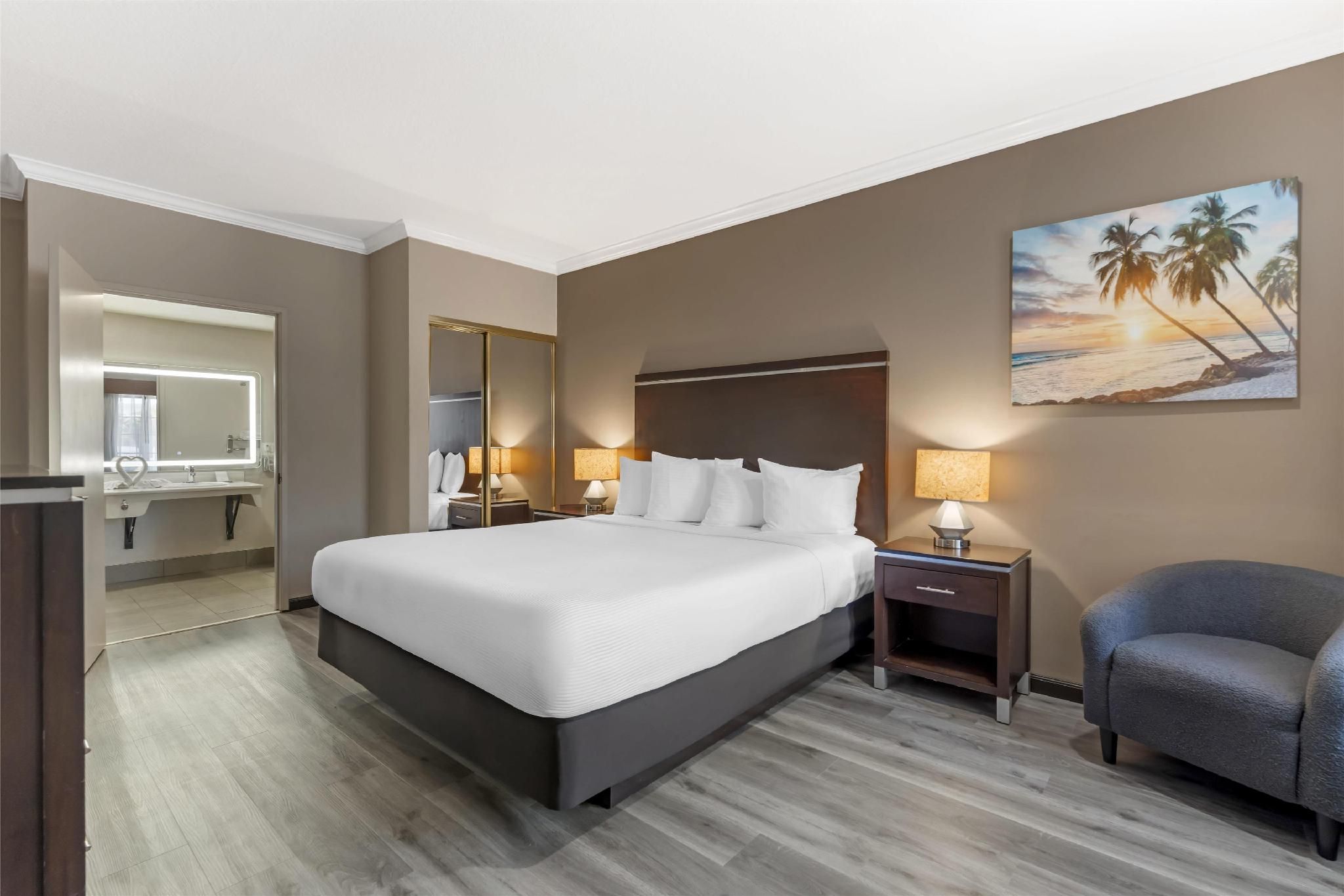 Accessibility - 1 King Bed, Bathtub, Nonsmoking