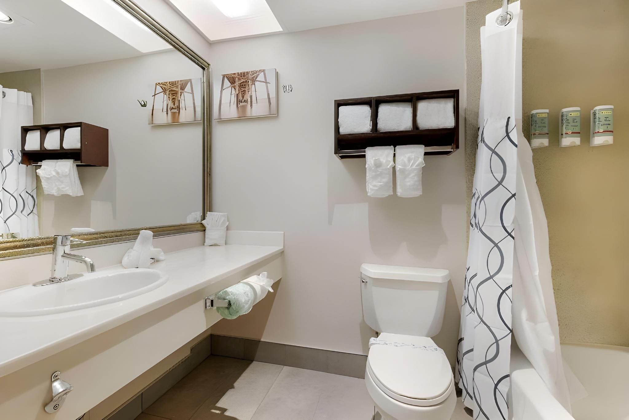 1 King Bed, Nonsmoking