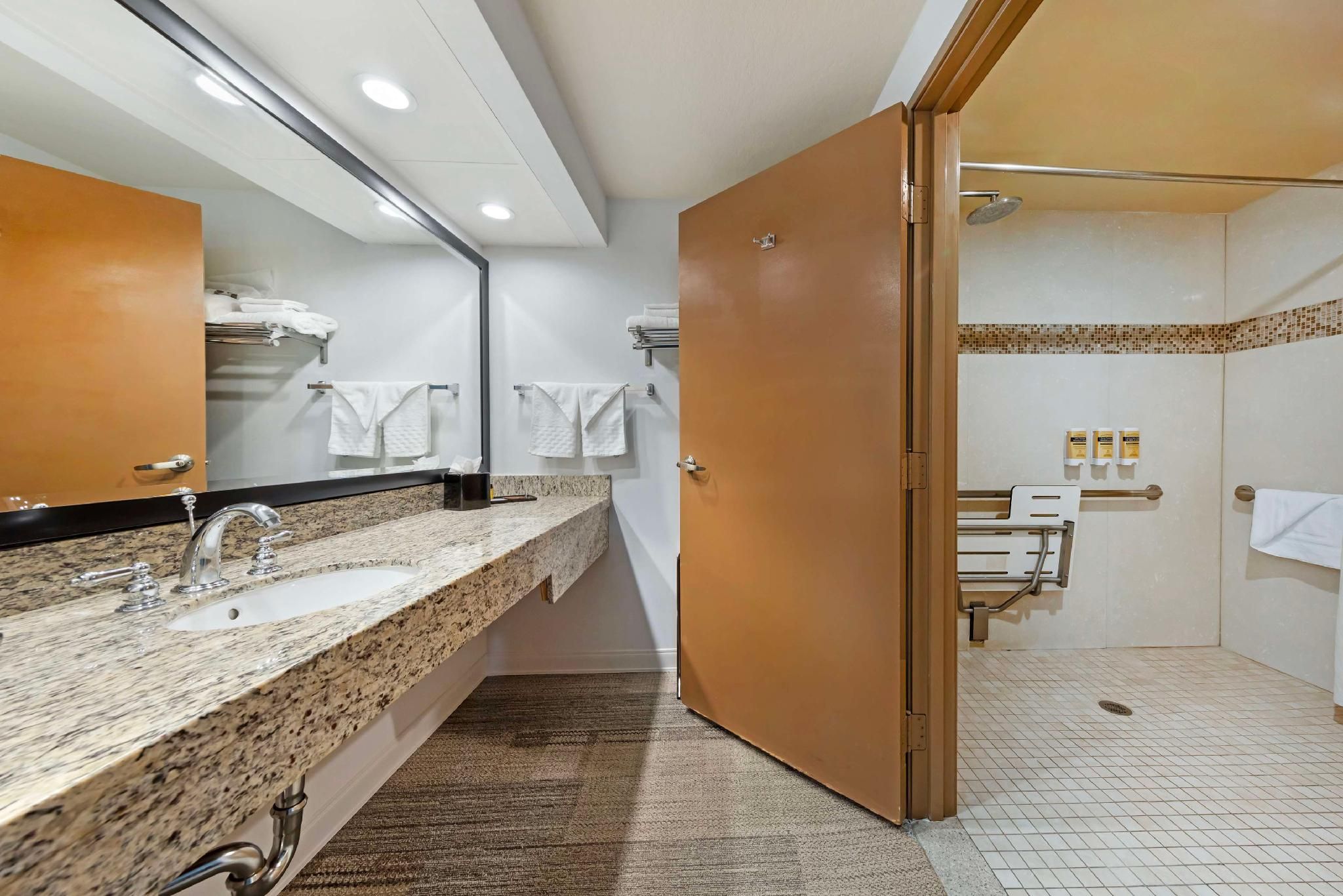 Accessibility - 2 Queens, Roll-in Shower, Exterior Entrance, Nonsmoking