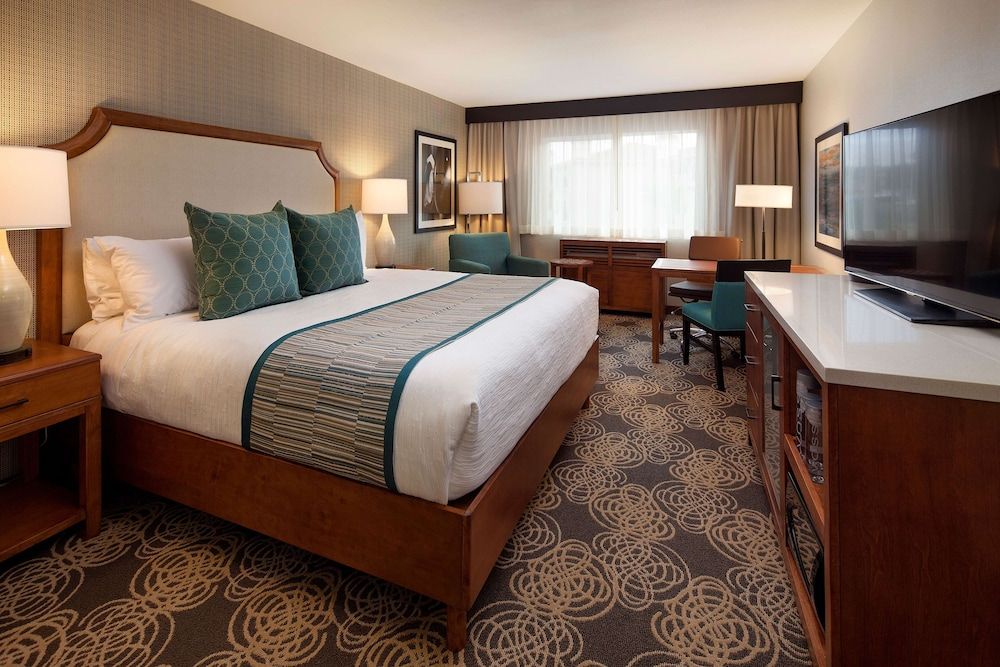 Room, 1 King Bed, Accessible (Roll-In Shower)