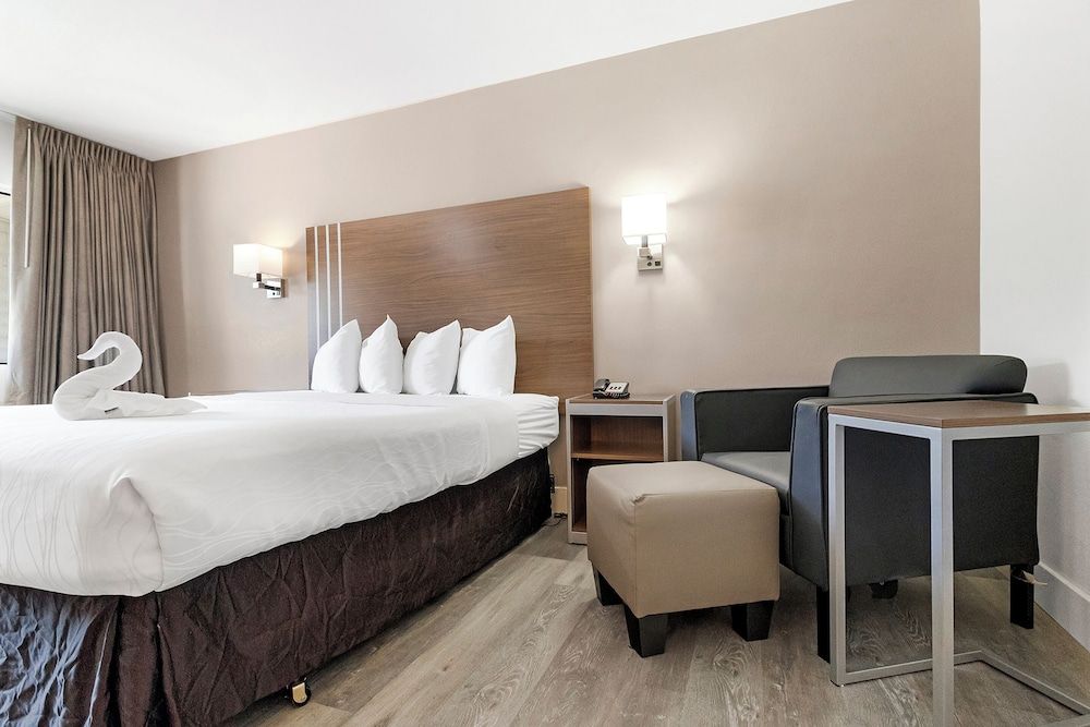 Standard Room, 1 King Bed, Non Smoking