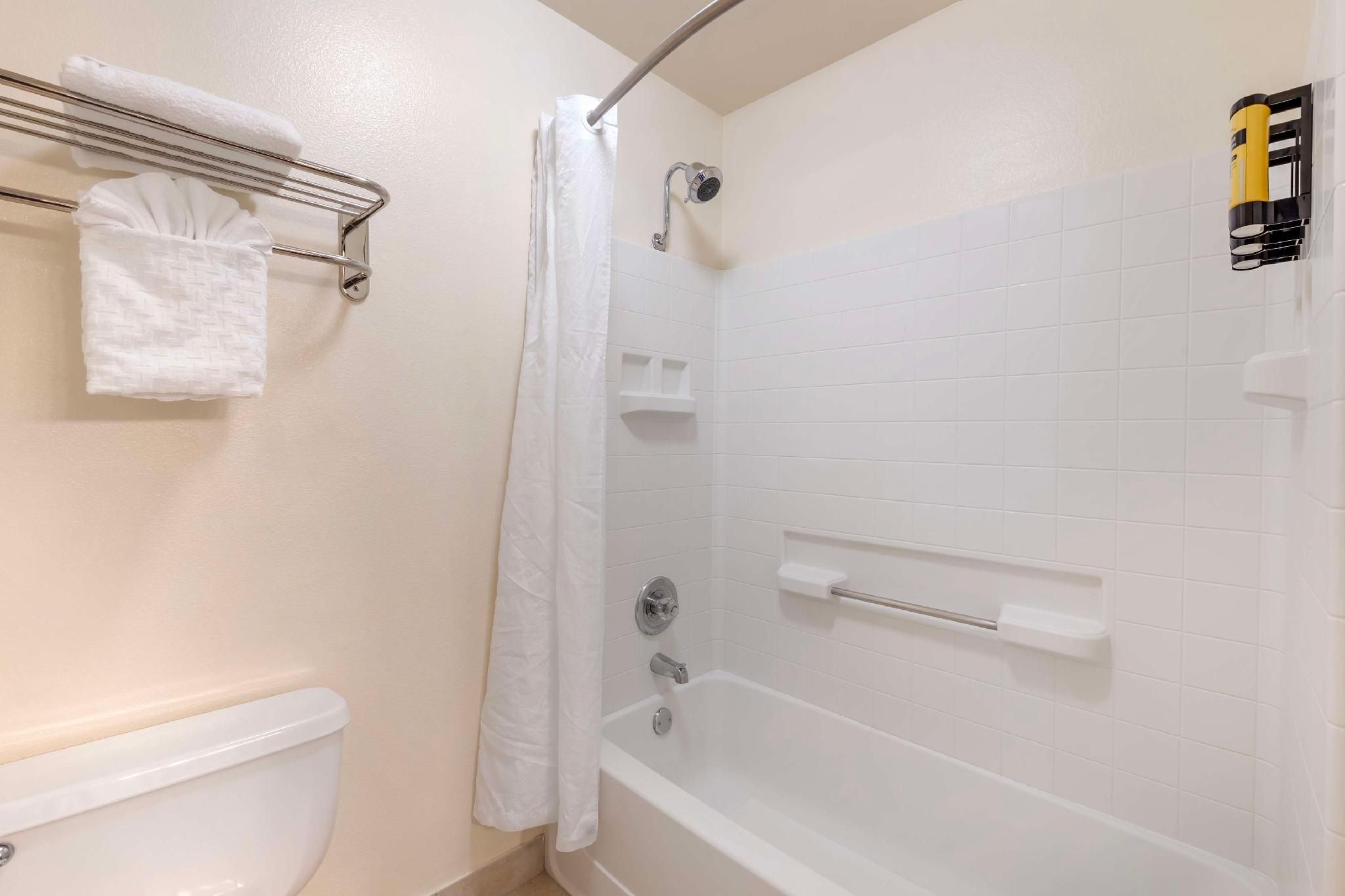 Suite - 1 King Bed, Nonsmoking, Executive Wing, Sofabed