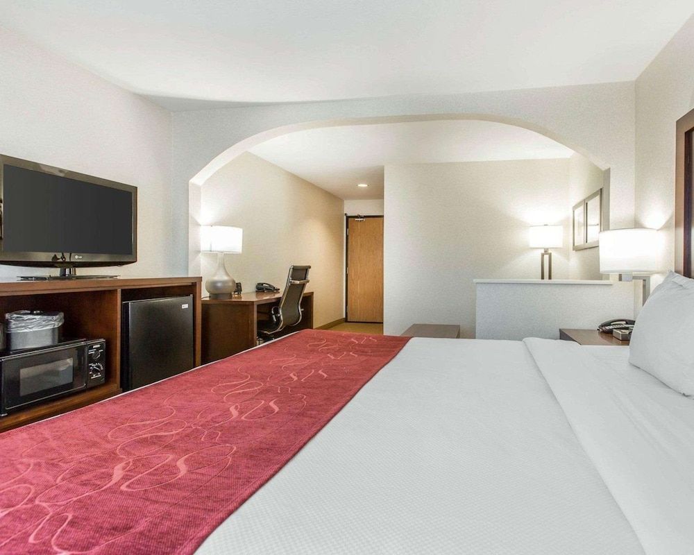 Standard Studio Suite, 1 King Bed with Sofa bed