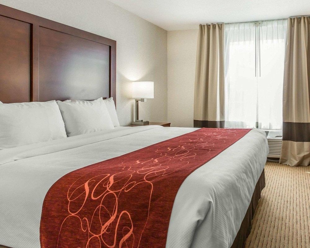 Standard Room, 1 King Bed, Non Smoking