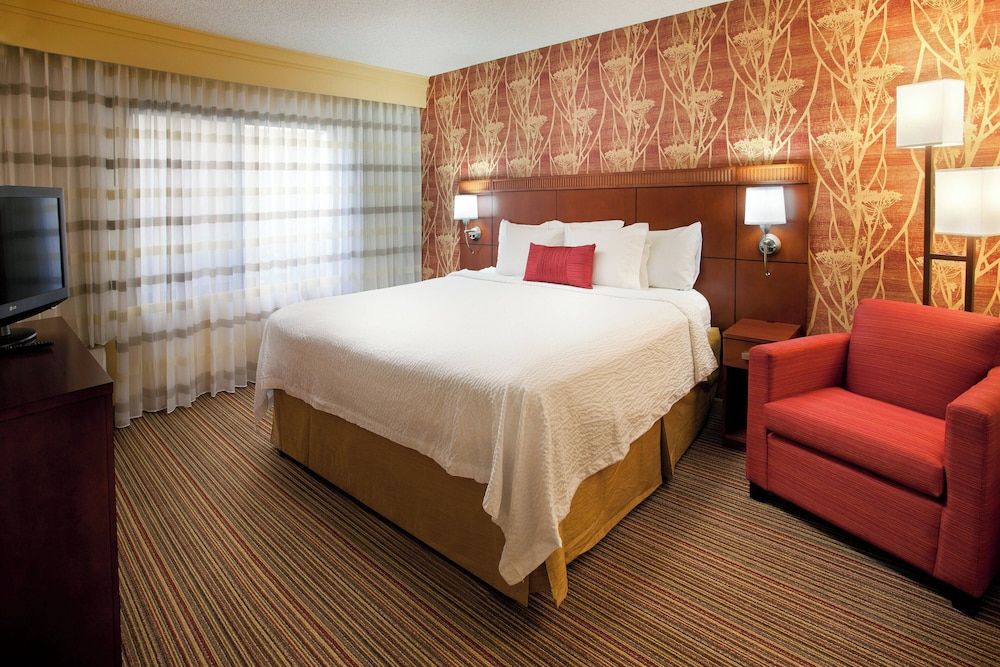 Room, 1 King Bed with Sofa bed, Non Smoking (Mobility/Hearing Access, Roll-In Shwr)