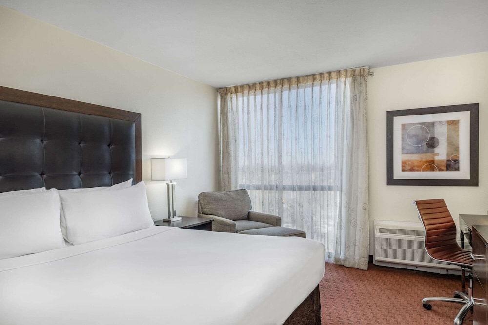 Room, 1 King Bed, Non Smoking
