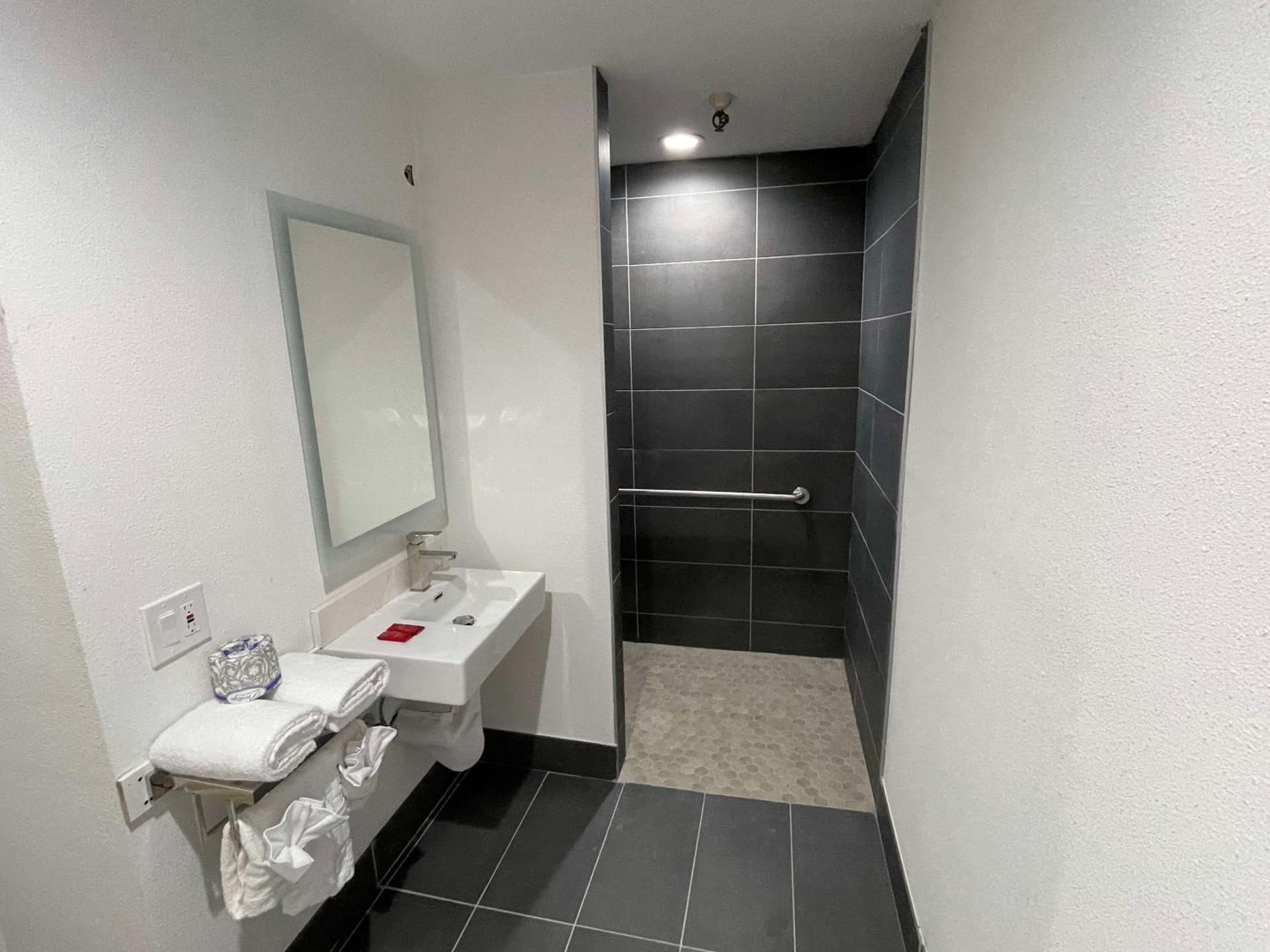 Accessibility - 1 King, Roll-in Shower, Nonsmoking