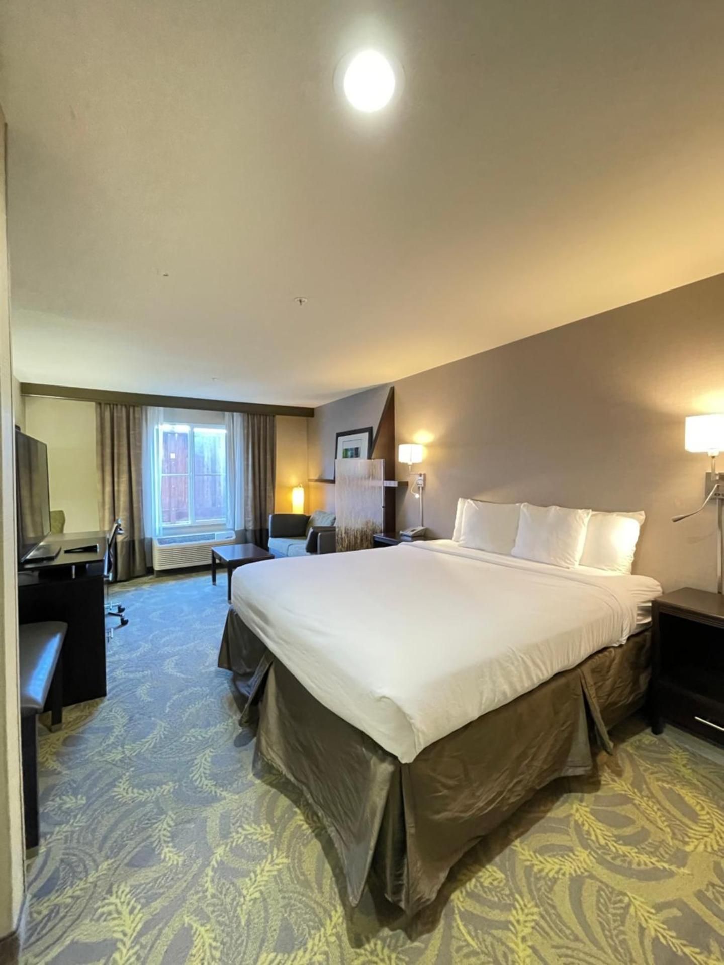 1 King Bed, Suite, Nonsmoking