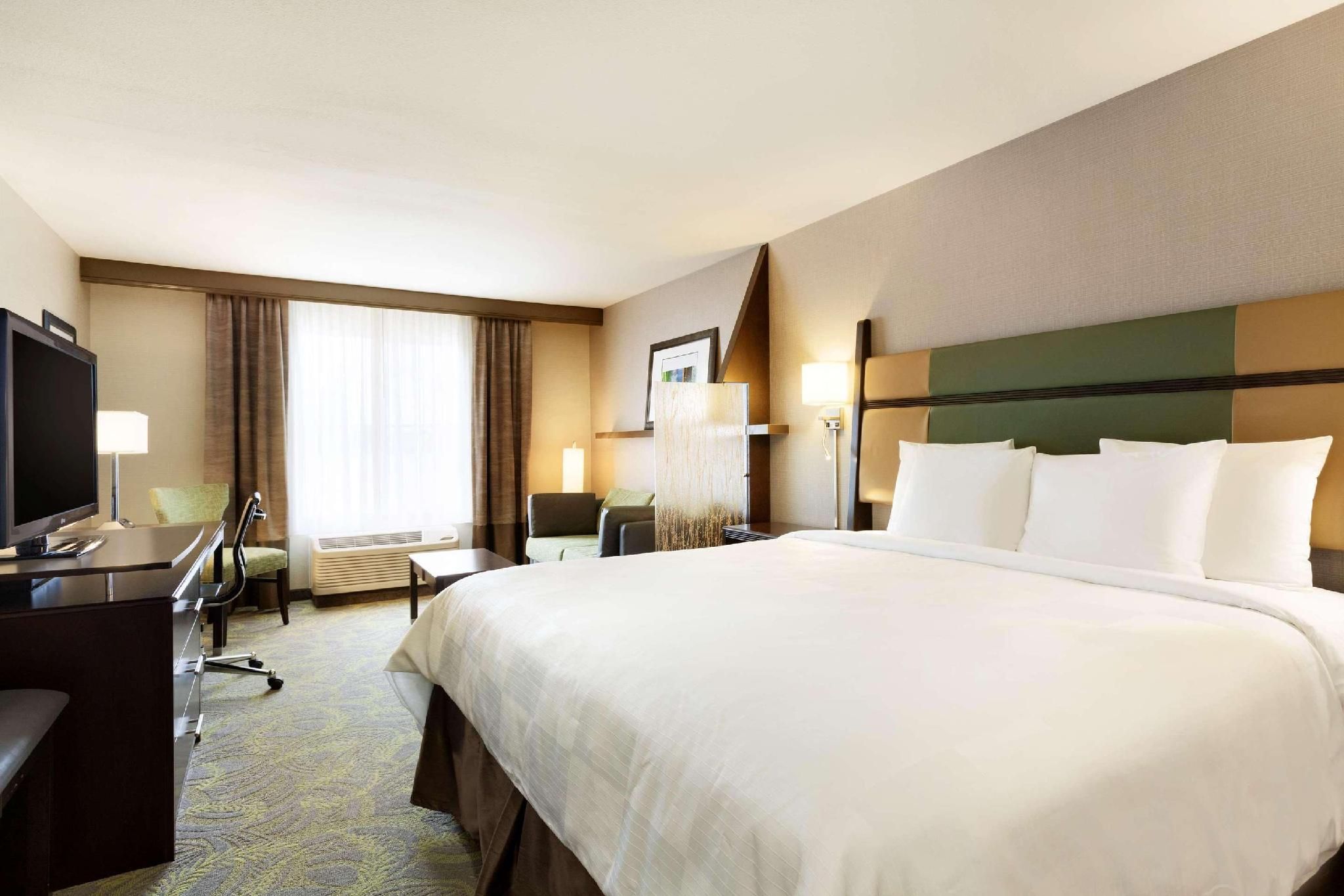1 King Bed, Suite, Nonsmoking