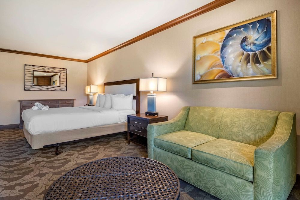Standard Room, 1 King Bed, Non Smoking, Refrigerator & Microwave