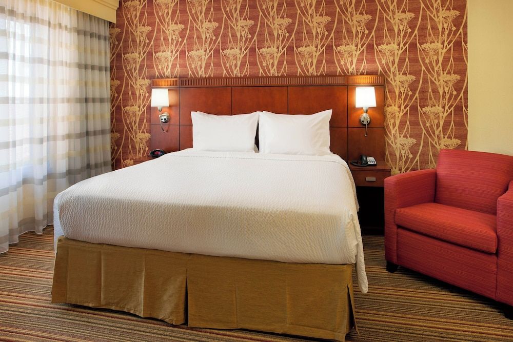 Suite, 1 King Bed with Sofa bed