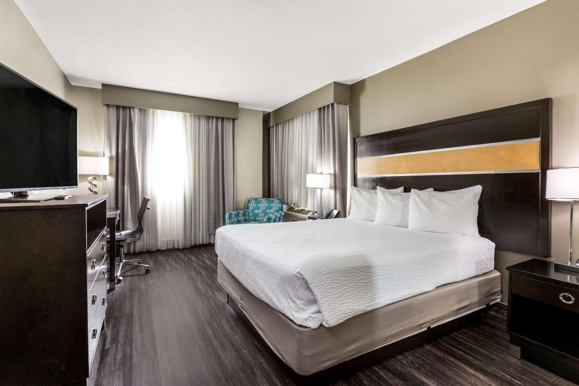 1 King Bed, Mobility Accessible, Roll-in Shower, Non-Smoking