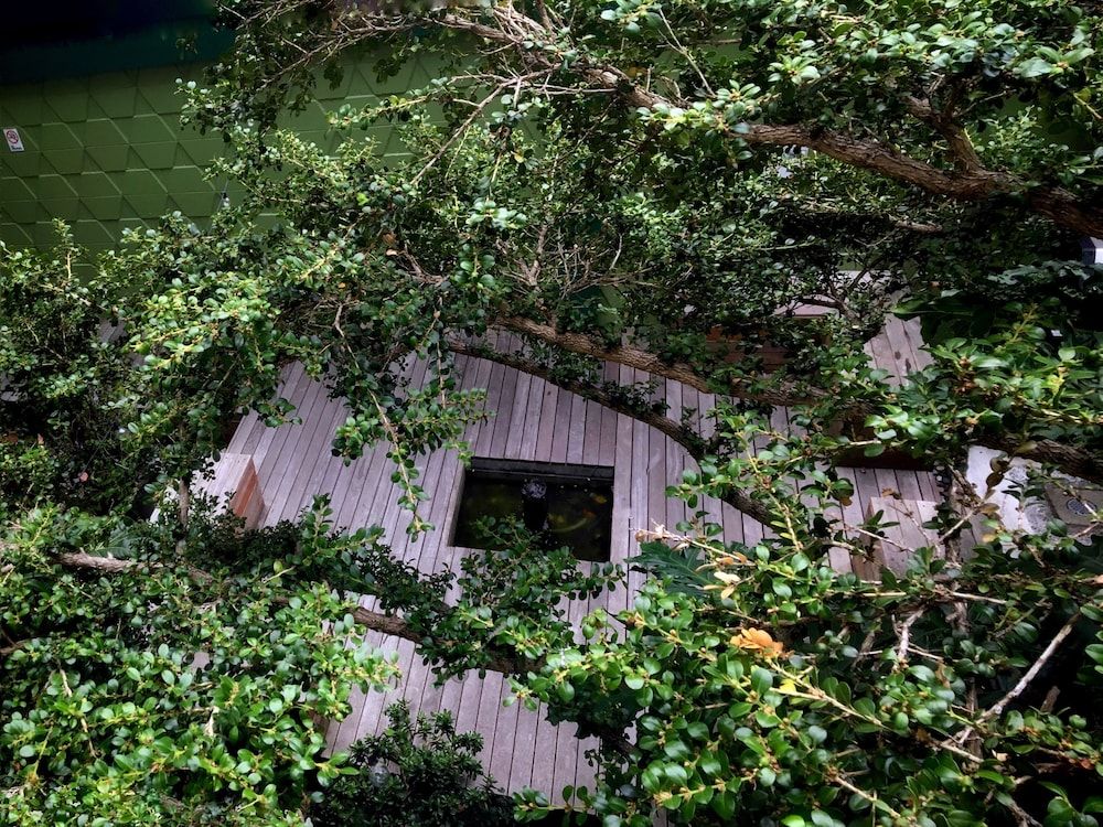 undefined Oasis Inn 9