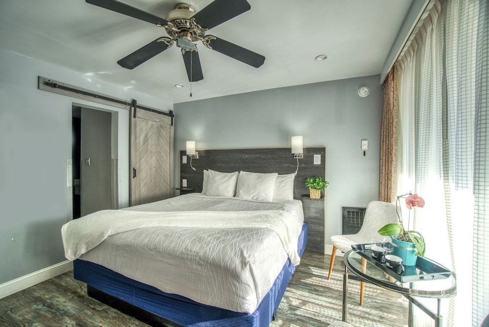 Wharf Inn Classic Room, 1 King Bed, Refrigerator 4