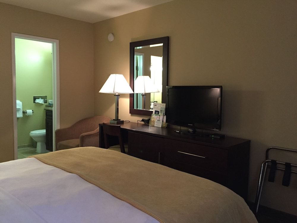 Travelodge by Wyndham Presidio San Francisco Standard Room, 1 King Bed 9