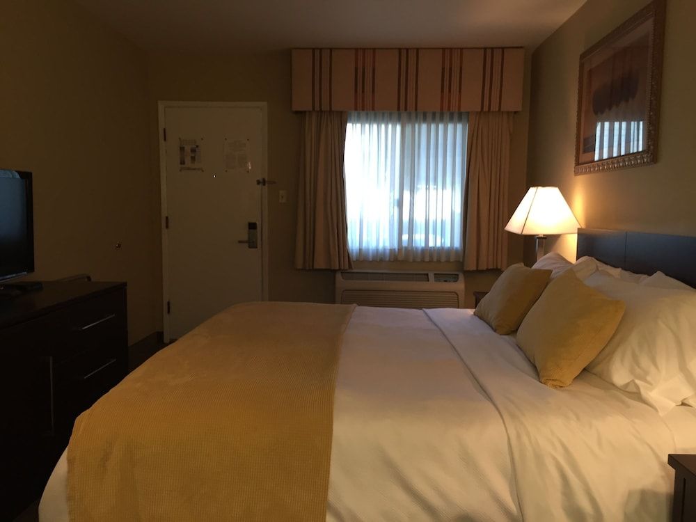 Travelodge by Wyndham Presidio San Francisco Standard Room, 1 King Bed